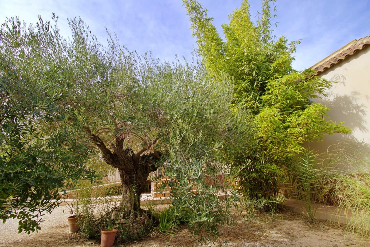 5 soveværelse Villa til salg i Valverde med swimmingpool garage - € 620.000 (Ref: 7213705)