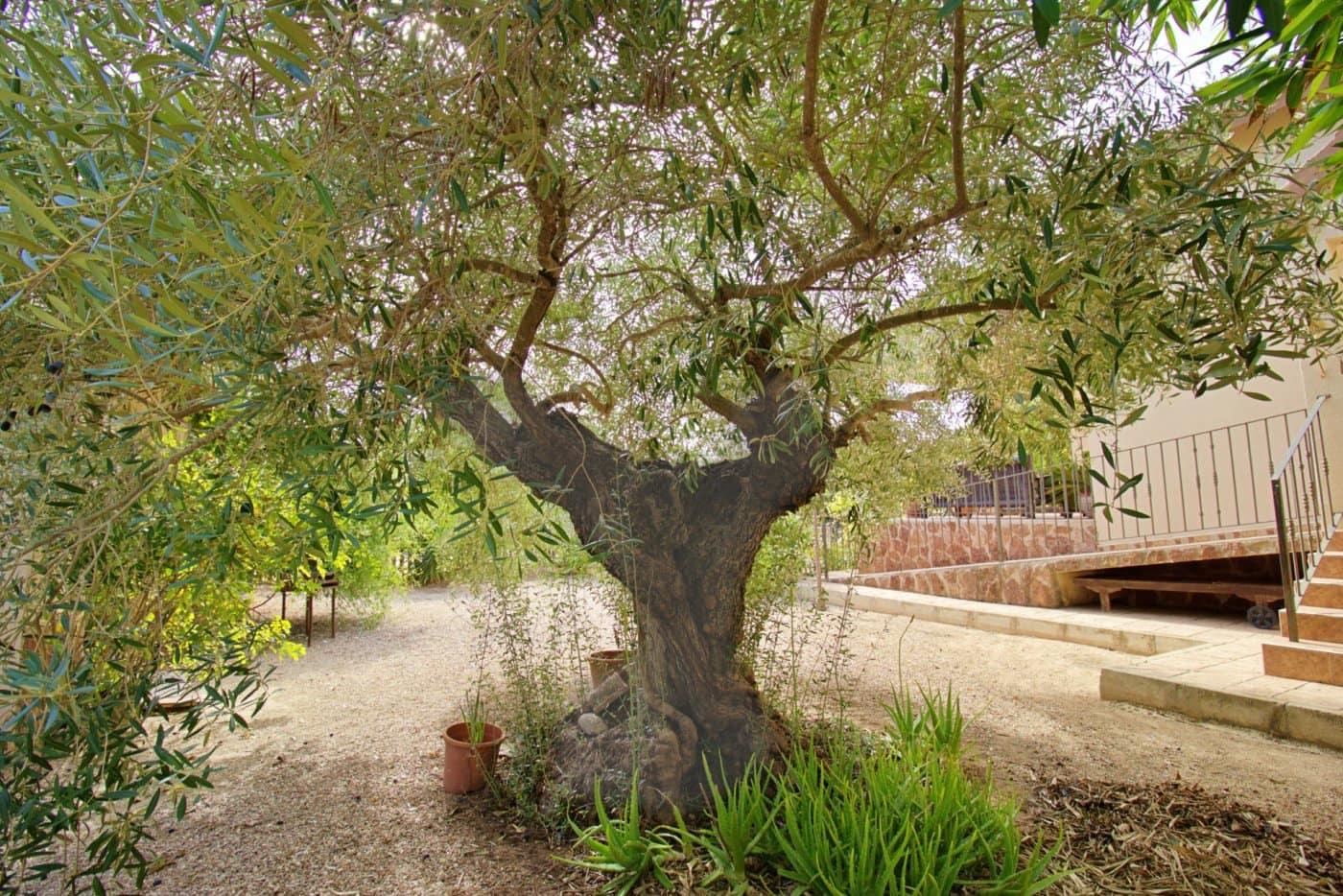 5 soveværelse Villa til salg i Valverde med swimmingpool garage - € 620.000 (Ref: 7213705)