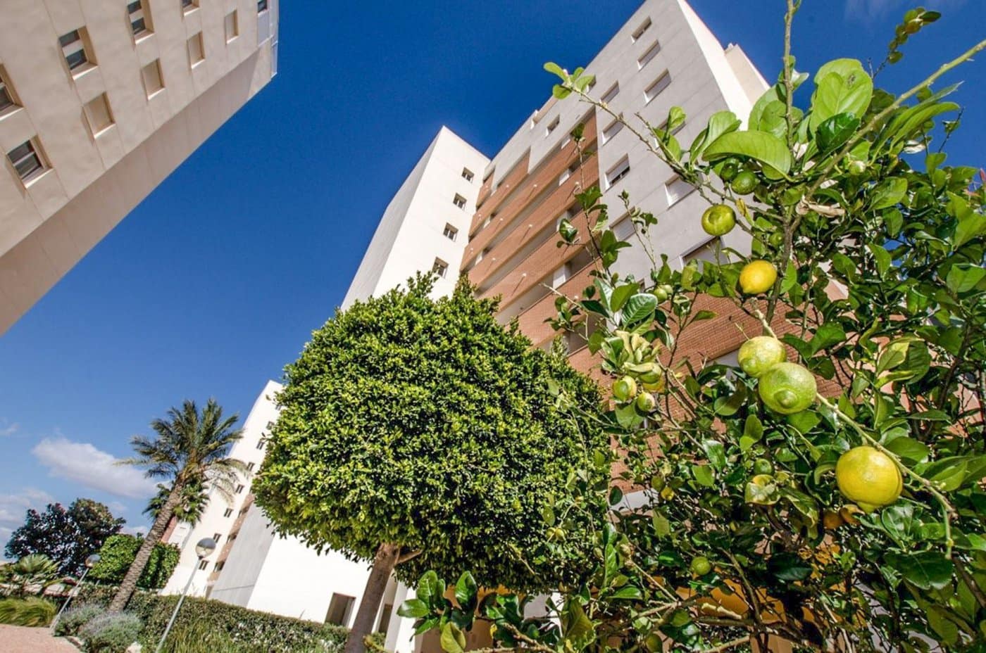 4 soveværelse Penthouse til salg i Guardamar del Segura med swimmingpool garage - € 360.000 (Ref: 7216057)