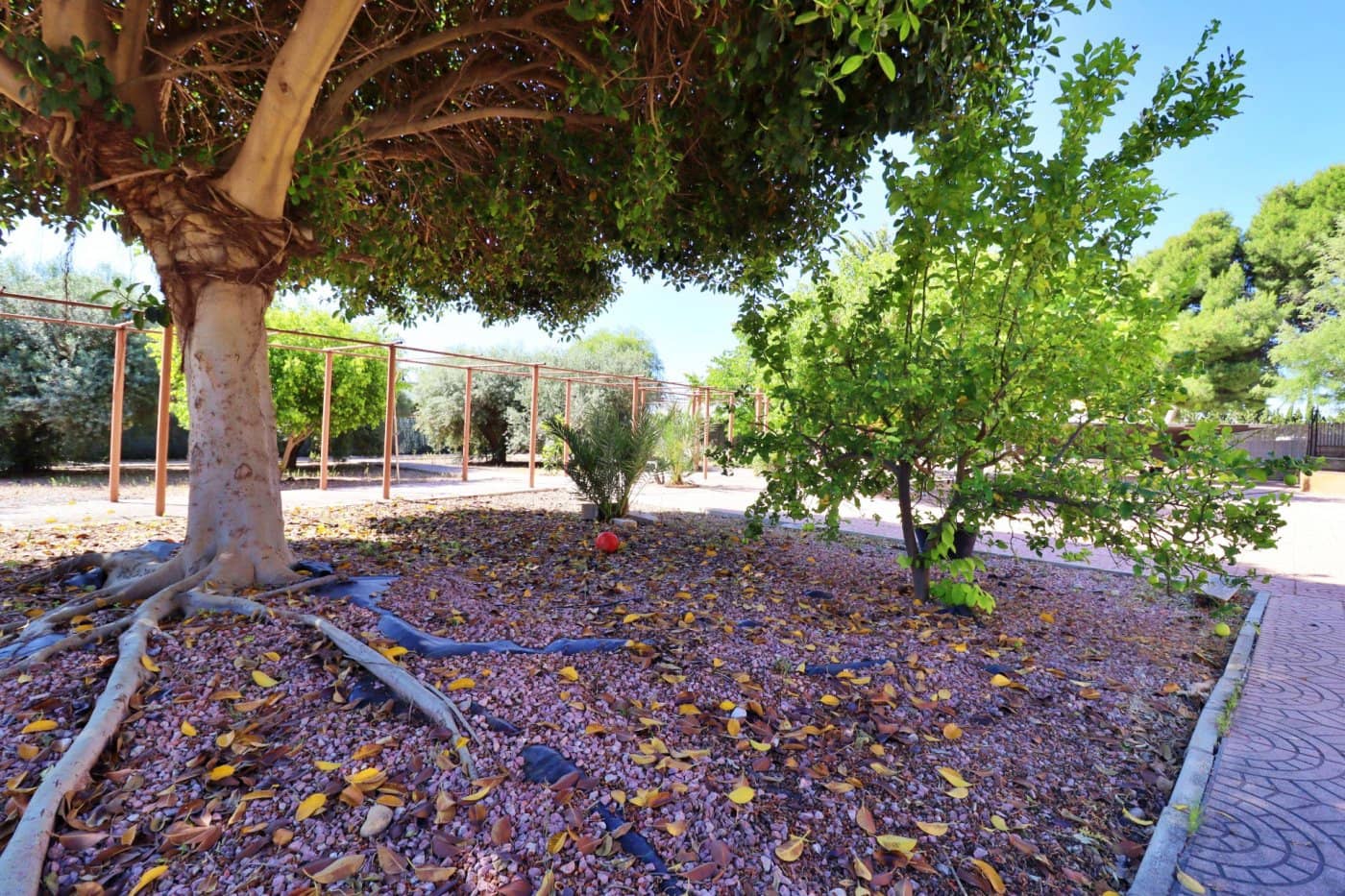 6 sypialnia Willa na sprzedaż w Elche / Elx z basenem - 430 000 € (Ref: 7578238)