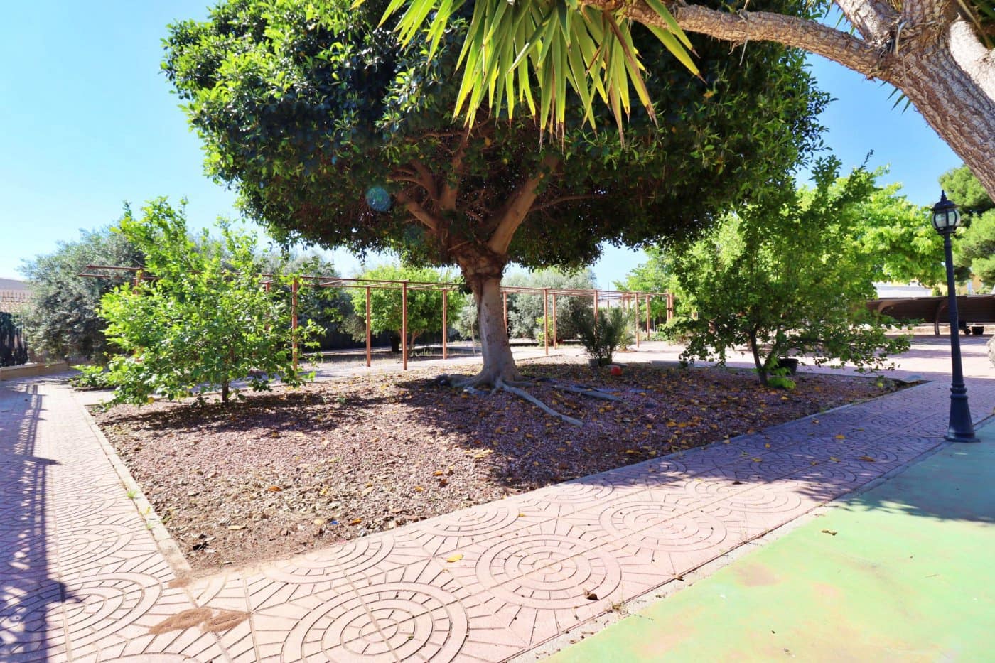 6 sypialnia Willa na sprzedaż w Elche / Elx z basenem - 430 000 € (Ref: 7578238)