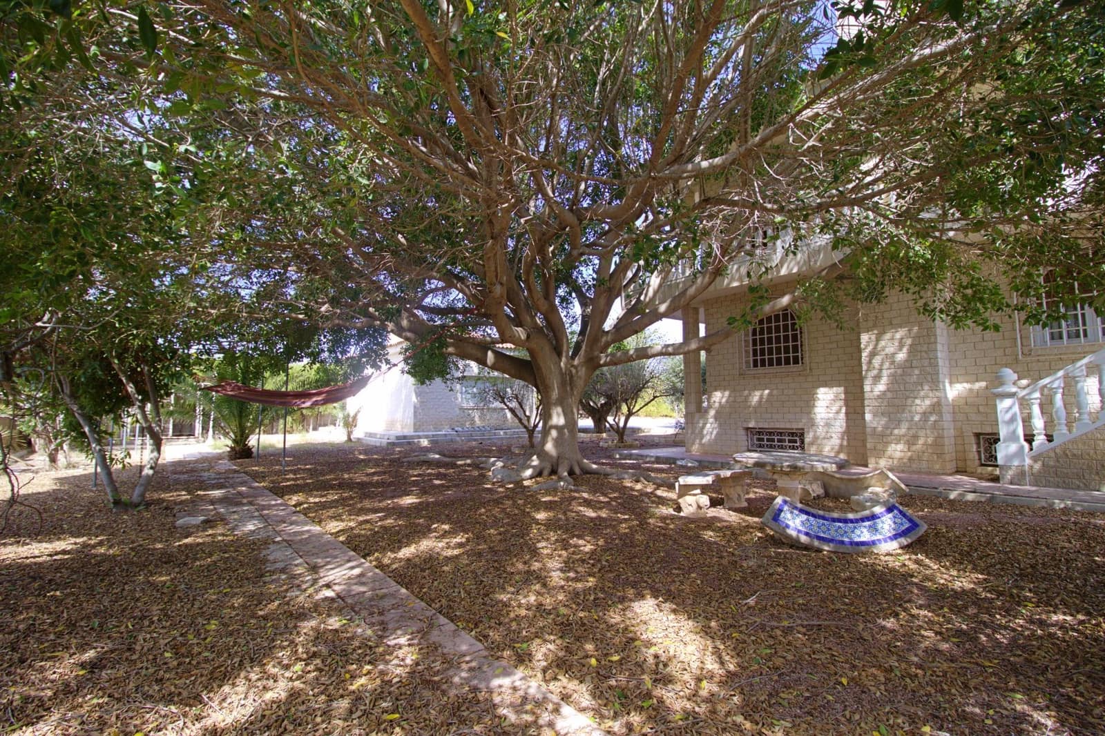 5 quarto Moradia para venda em Elche / Elx com piscina garagem - 525 000 € (Ref: 7715077)