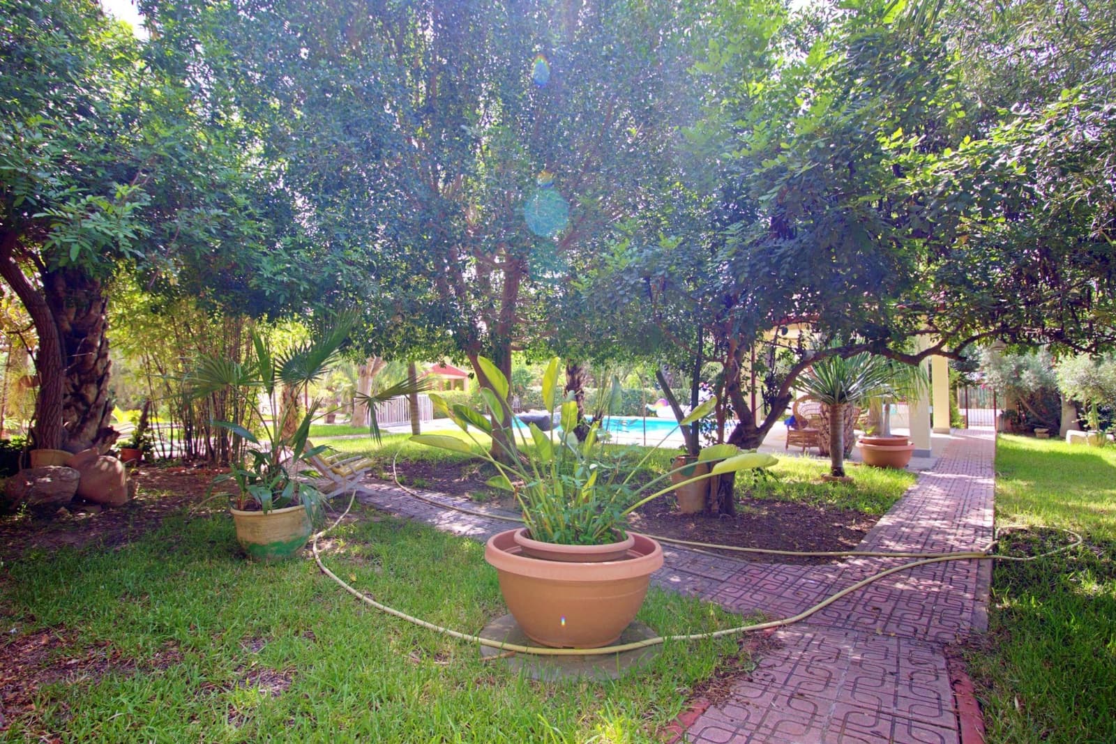 5 sypialnia Willa na sprzedaż w Elche / Elx z basenem garażem - 695 000 € (Ref: 8102876)