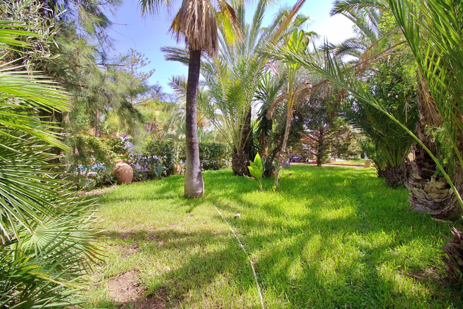 5 sypialnia Willa na sprzedaż w Elche / Elx z basenem garażem - 695 000 € (Ref: 8102876)