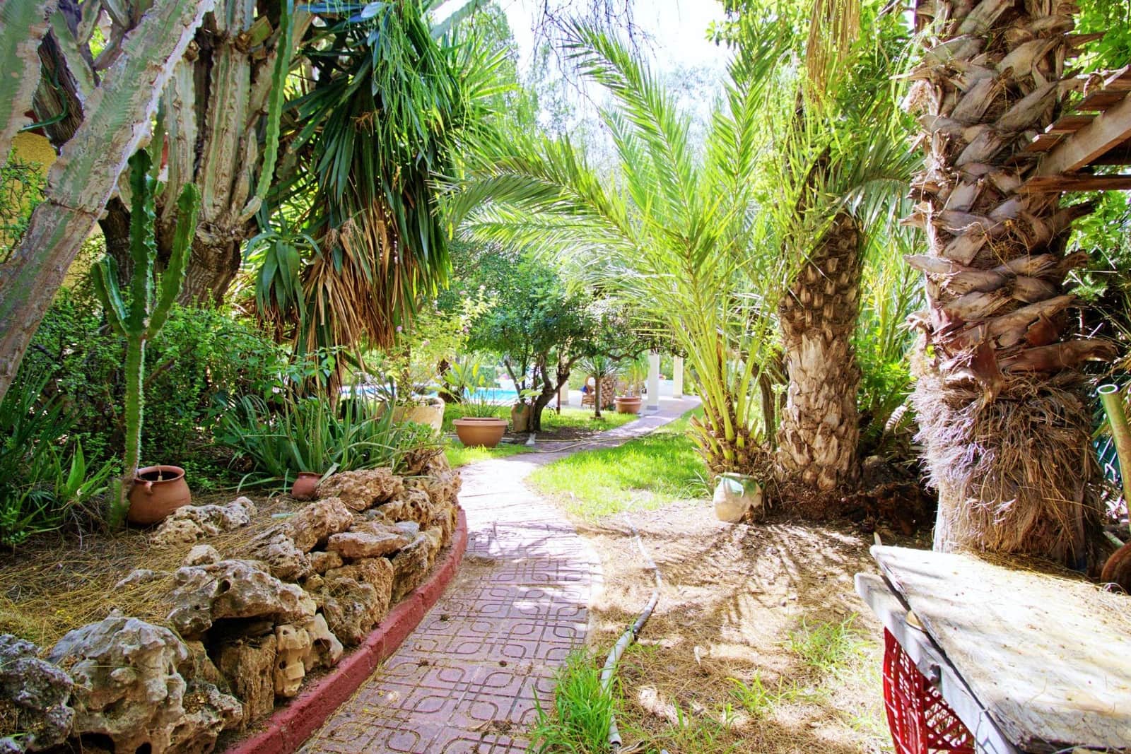 5 sypialnia Willa na sprzedaż w Elche / Elx z basenem garażem - 695 000 € (Ref: 8102876)