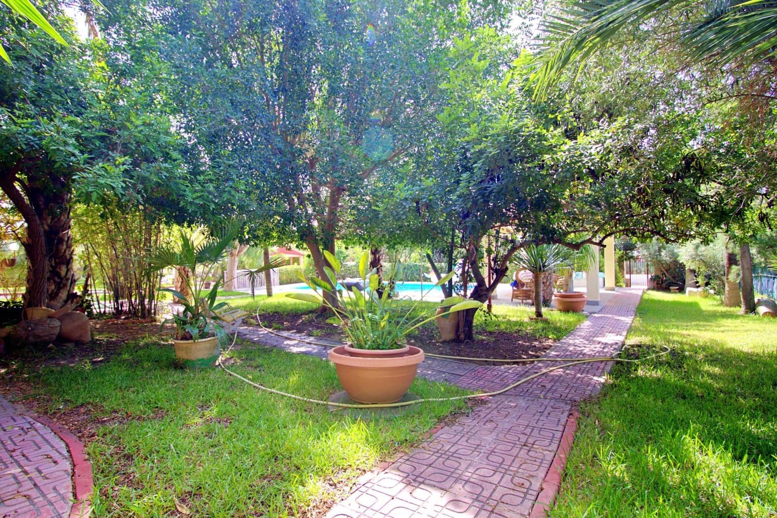 5 sypialnia Willa na sprzedaż w Elche / Elx z basenem garażem - 695 000 € (Ref: 8102876)