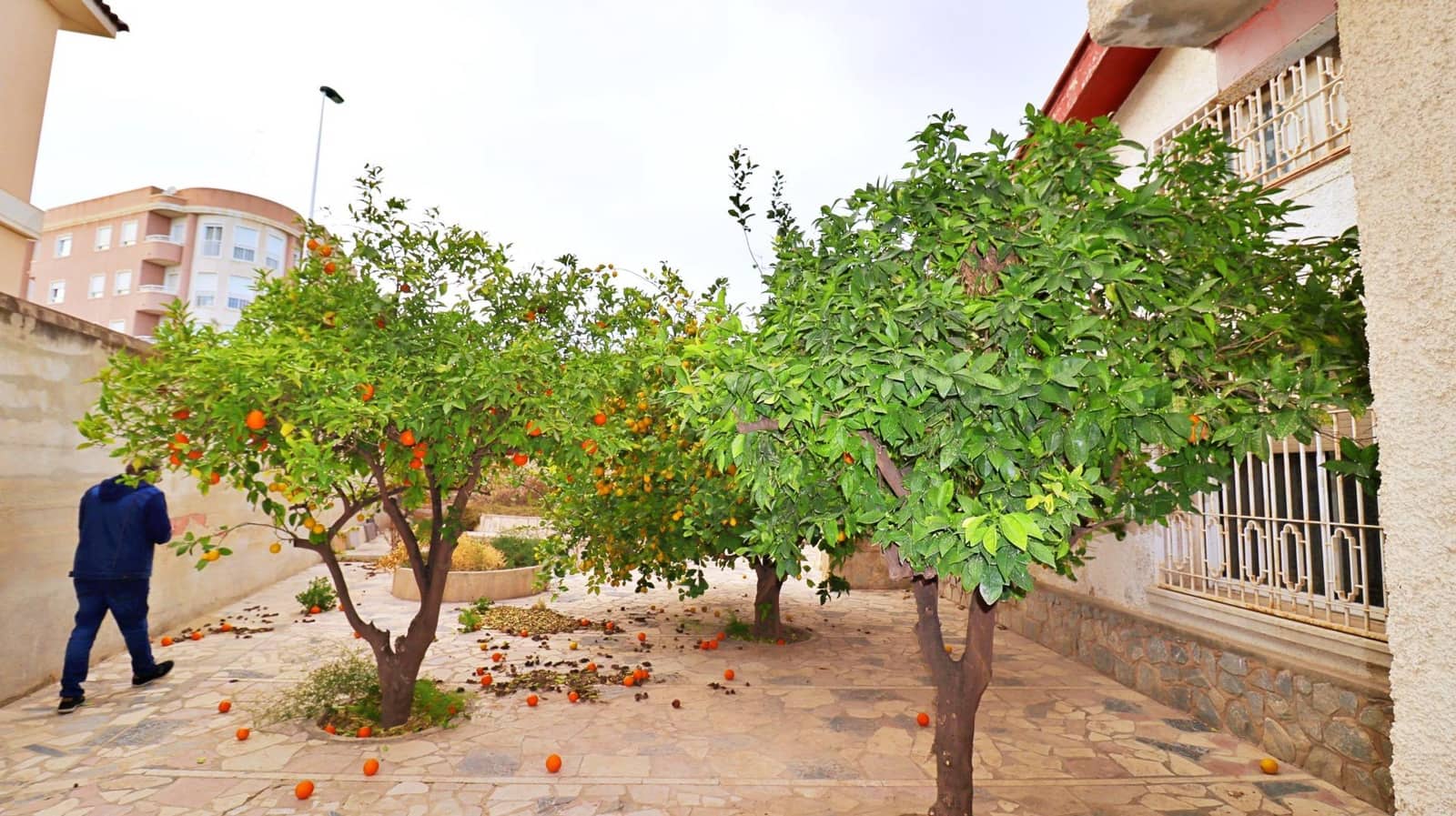 8 bedroom Villa for sale in Elche / Elx with garage - € 630,000 (Ref: 8217039)