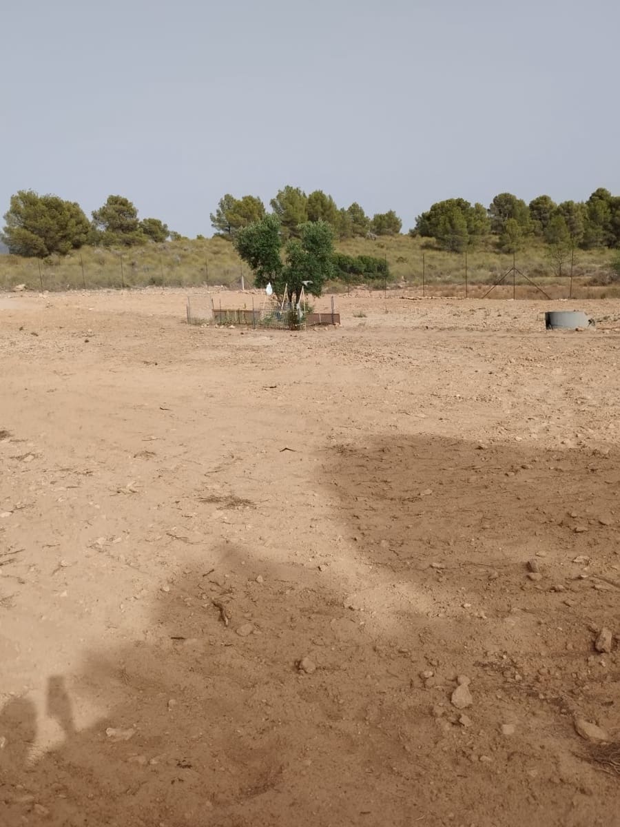 Byggegrund til salg i Aledo - € 55.000 (Ref: 8564911)
