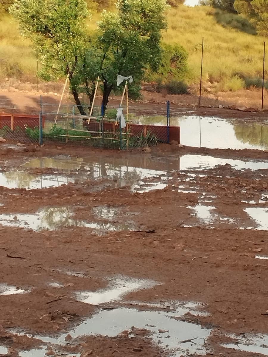 Byggegrund til salg i Aledo - € 55.000 (Ref: 8564911)