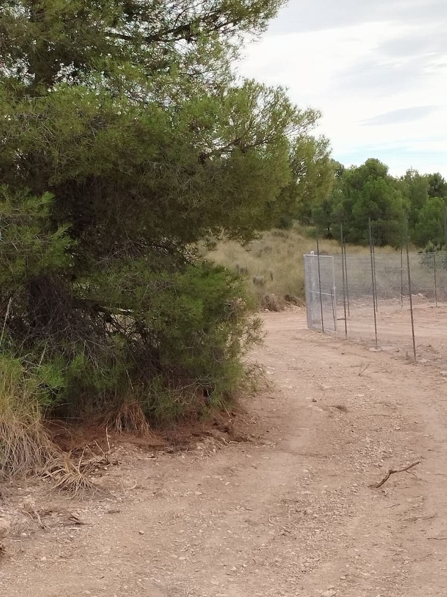 Byggegrund til salg i Aledo - € 55.000 (Ref: 8564911)