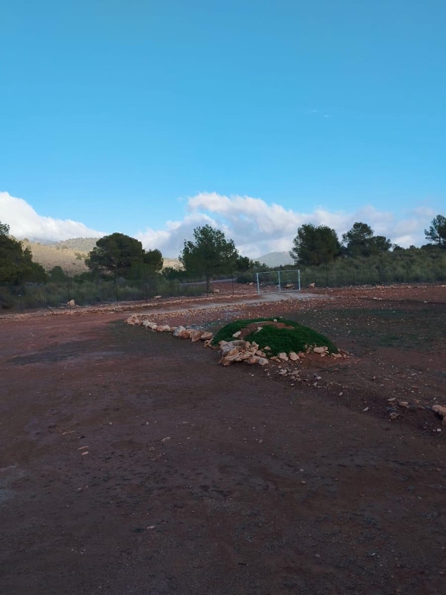 Byggegrund til salg i Aledo - € 55.000 (Ref: 8564911)