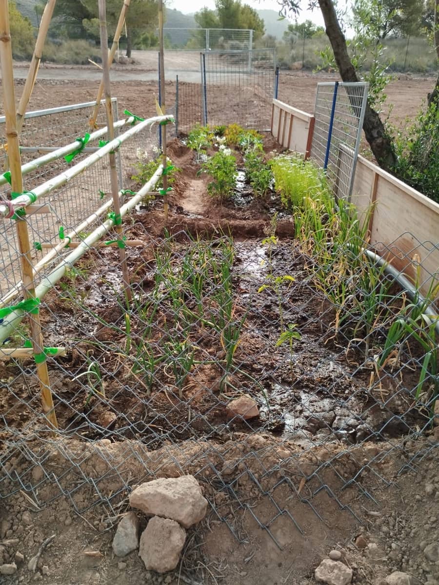 Byggegrund til salg i Aledo - € 55.000 (Ref: 8564911)