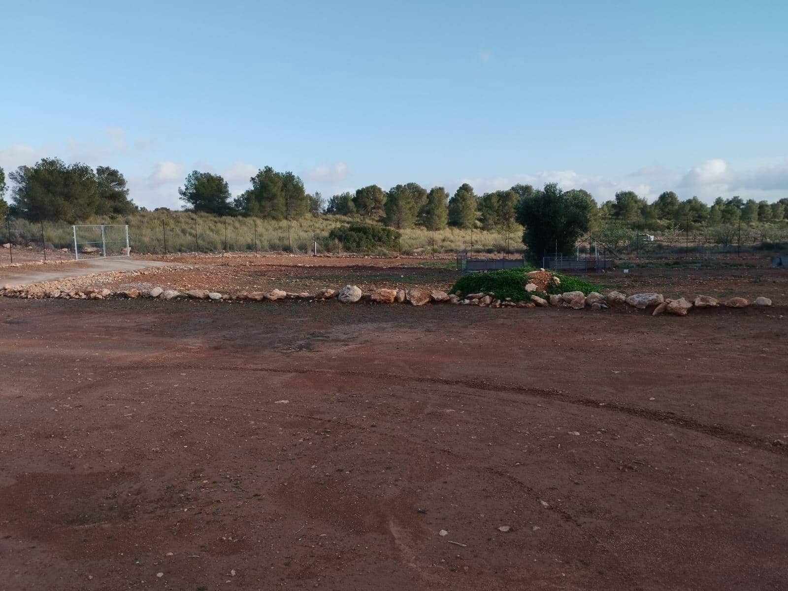 Byggegrund til salg i Aledo - € 55.000 (Ref: 8564911)