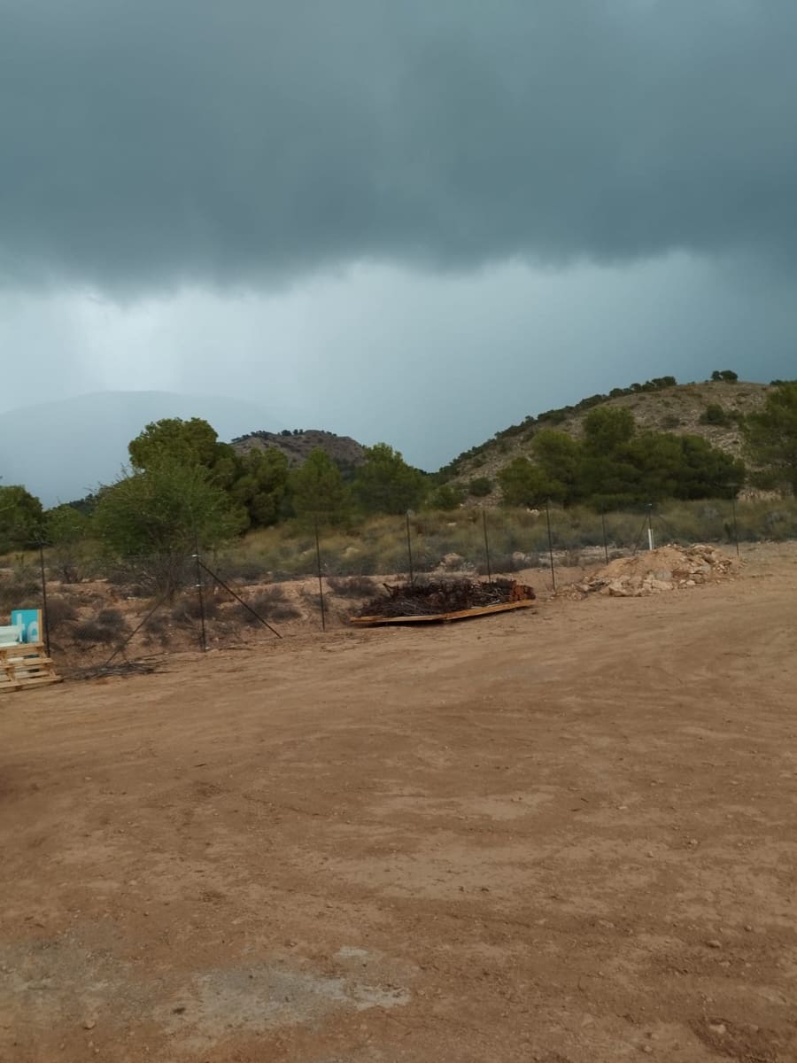 Byggegrund til salg i Aledo - € 55.000 (Ref: 8564911)