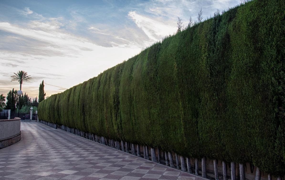 6 soveværelse Villa til salg i Perleta med swimmingpool garage - € 560.000 (Ref: 8595357)