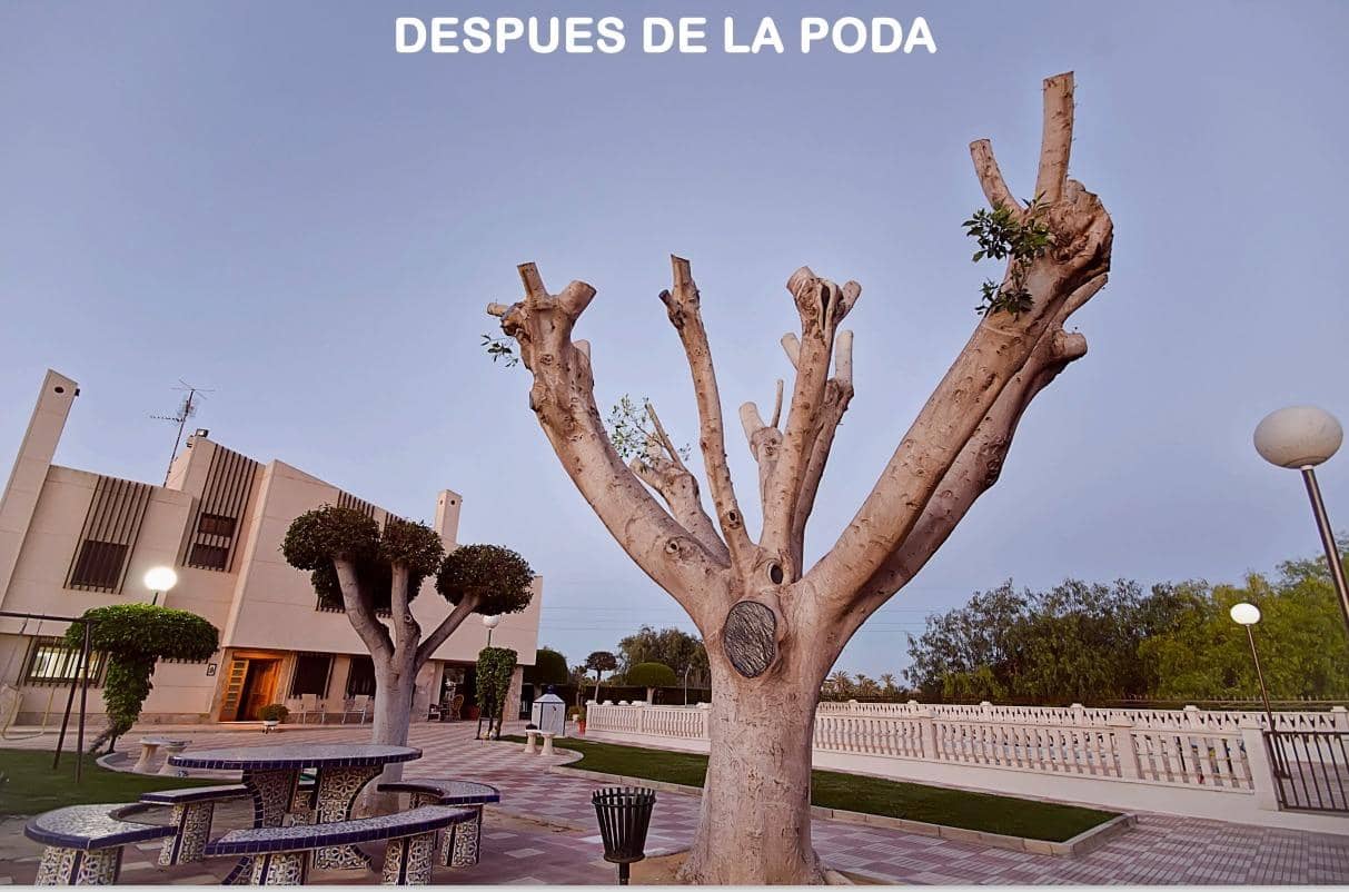 6 soveværelse Villa til salg i Perleta med swimmingpool garage - € 560.000 (Ref: 8595357)