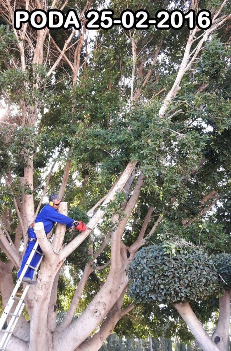 6 soveværelse Villa til salg i Perleta med swimmingpool garage - € 560.000 (Ref: 8595357)