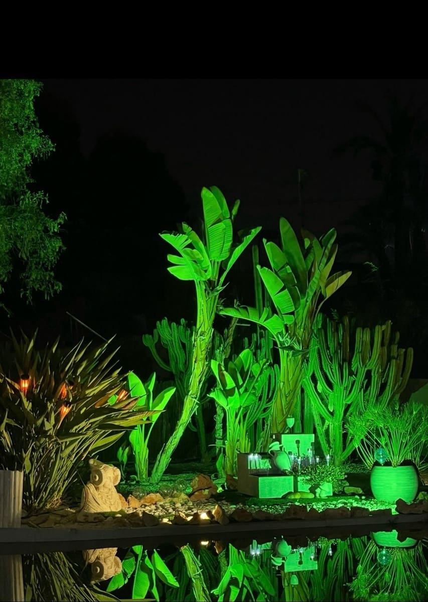 5 chambre Villa/Maison à vendre à Elche / Elx avec garage - 450 000 € (Ref: 8857133)