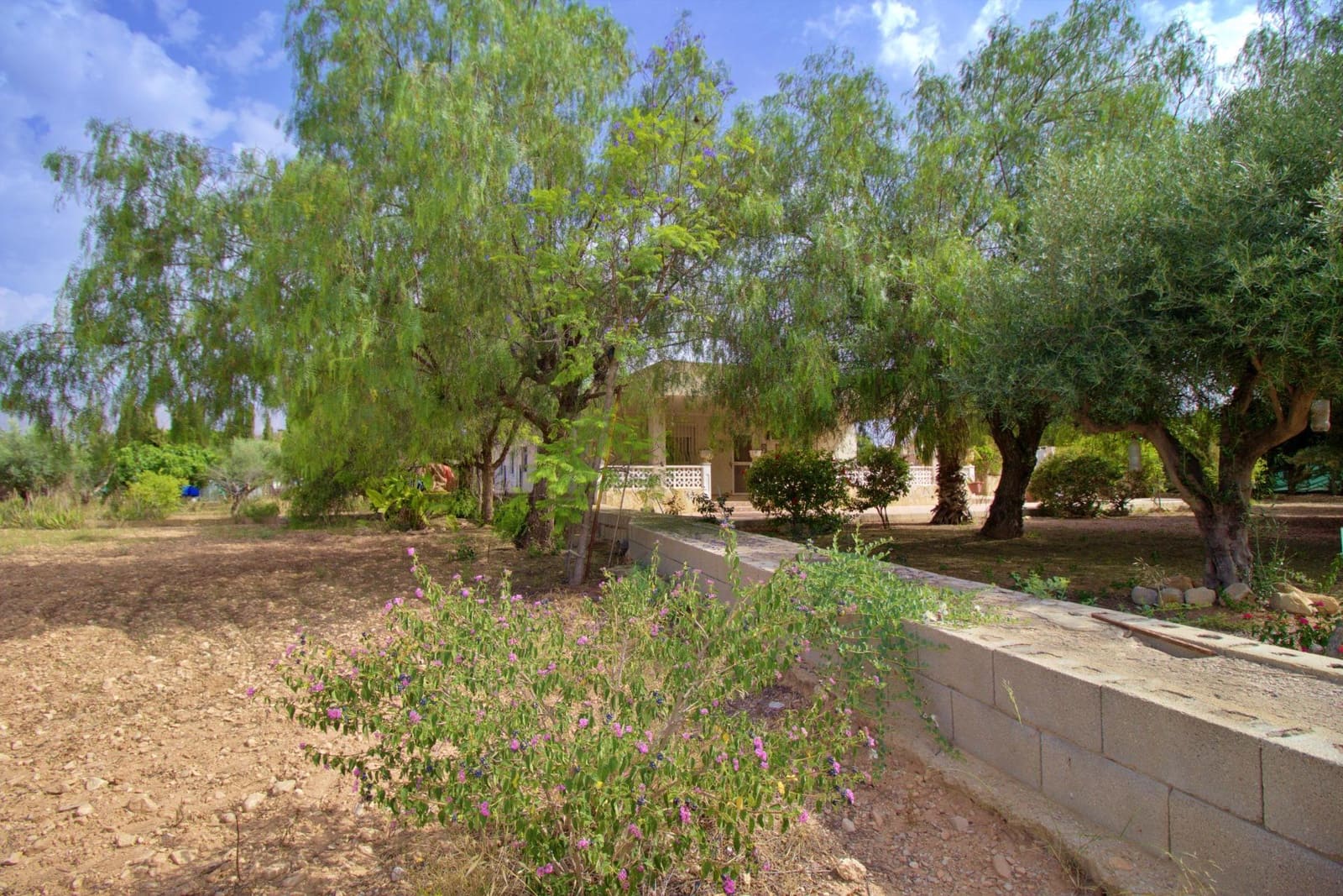 3 soveværelse Villa til salg i Crevillente / Crevillent med swimmingpool garage - € 280.000 (Ref: 9075068)