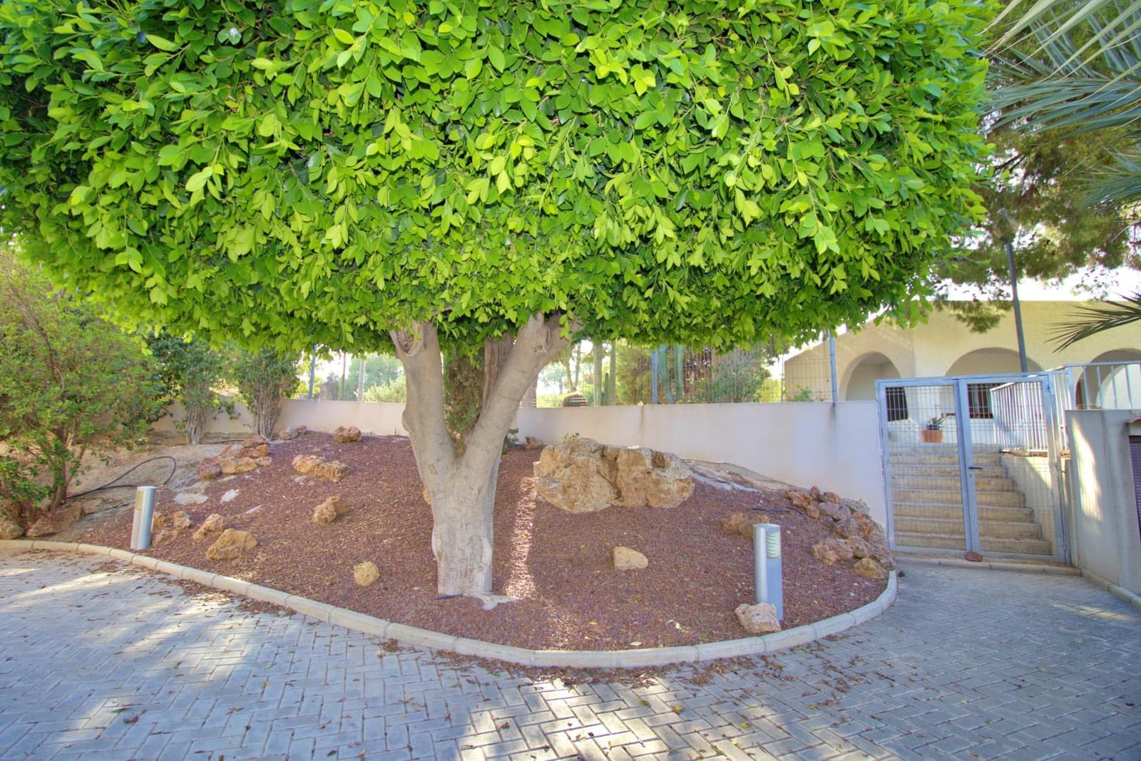 4 soveværelse Villa til salg i Elche / Elx med swimmingpool garage - € 840.000 (Ref: 9099071)