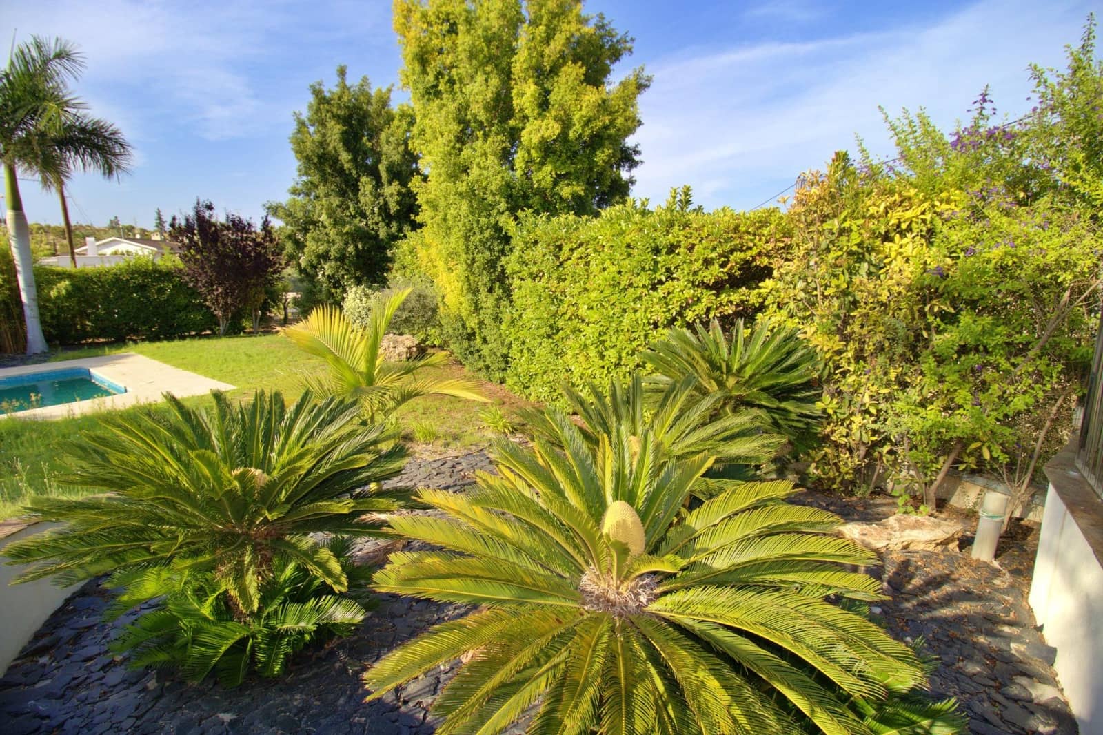 4 bedroom Villa for sale in Elche / Elx with pool garage - € 814,800 (Ref: 9099071)