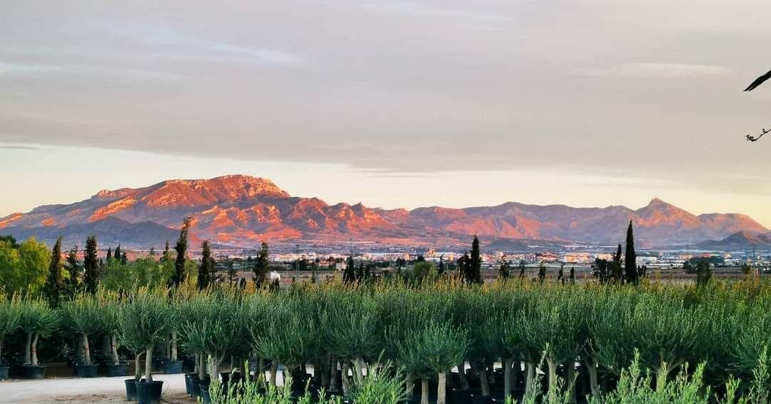 6 bedroom Villa for sale in Aspe with pool garage - € 330,000 (Ref: 9129723)