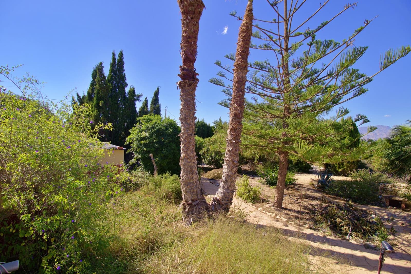 6 bedroom Villa for sale in Aspe with pool garage - € 330,000 (Ref: 9129723)