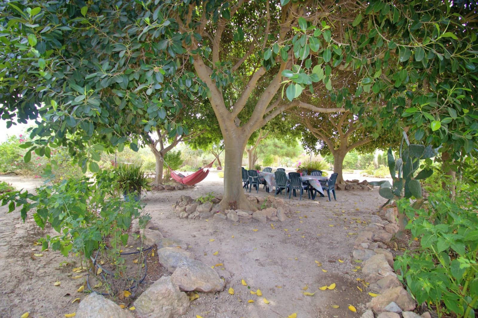 6 slaapkamer Villa te koop in La Hoya met zwembad garage - € 699.000 (Ref: 9209467)