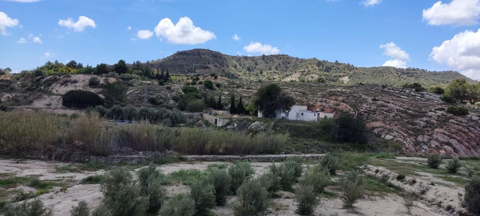 Mark till salu i Aspe - 110 000 € (Ref: 9410962)