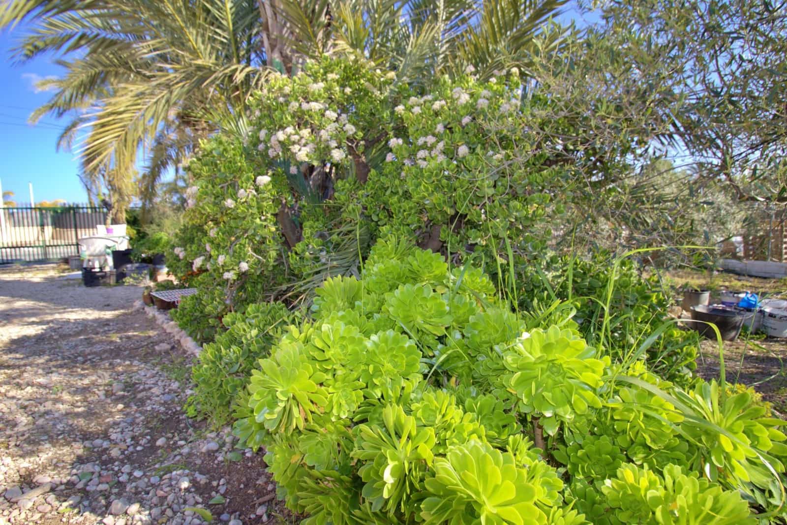 3 bedroom Villa for sale in Elche / Elx with garage - € 300,000 (Ref: 9677497)