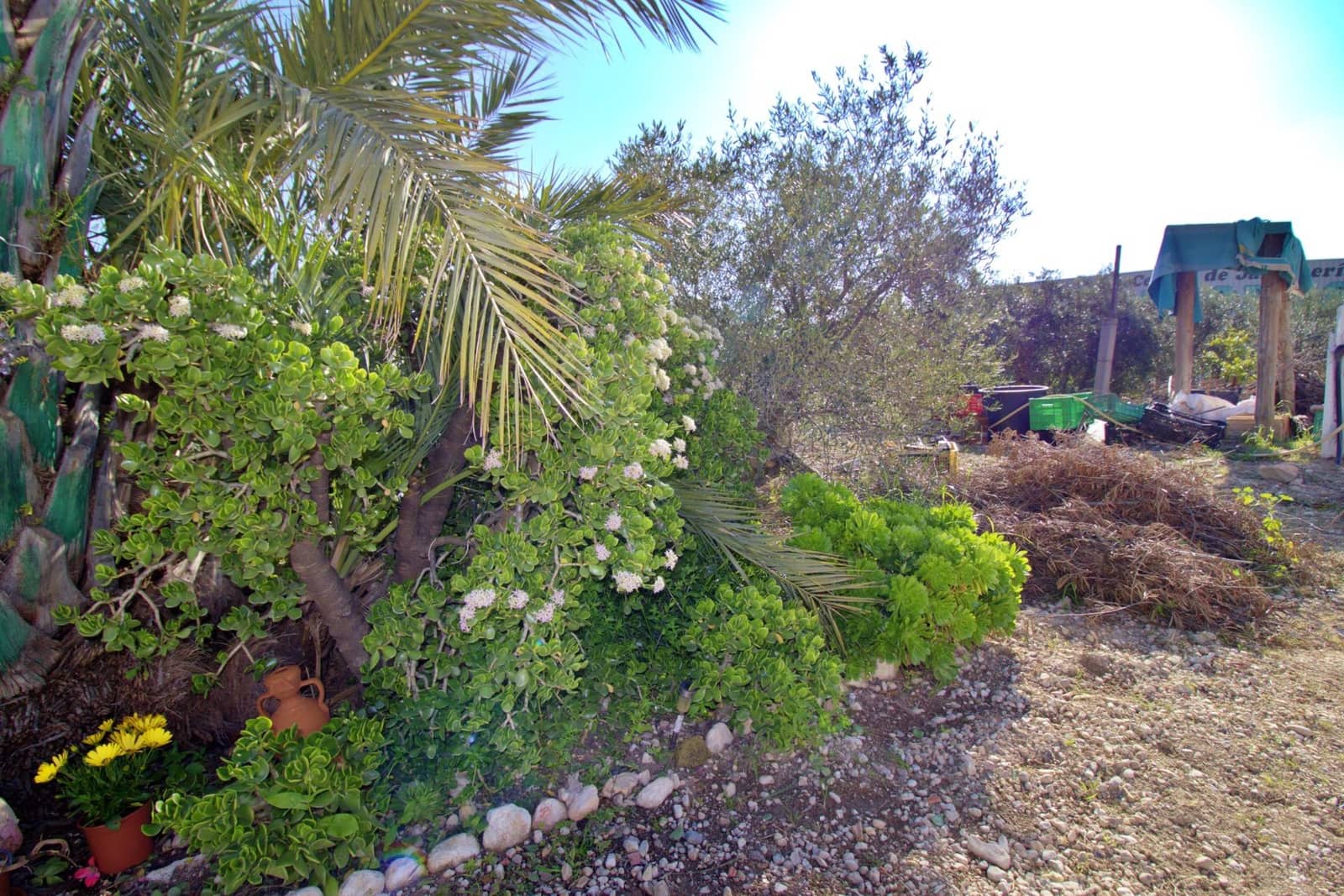 4 slaapkamer Villa te koop in Elche / Elx met garage - € 300.000 (Ref: 9677497)