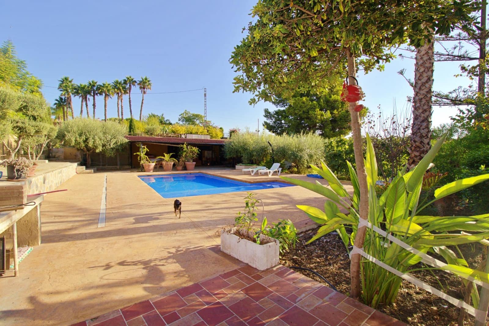 6 sypialnia Willa na sprzedaż w Elche / Elx z basenem garażem - 480 000 € (Ref: 9868596)