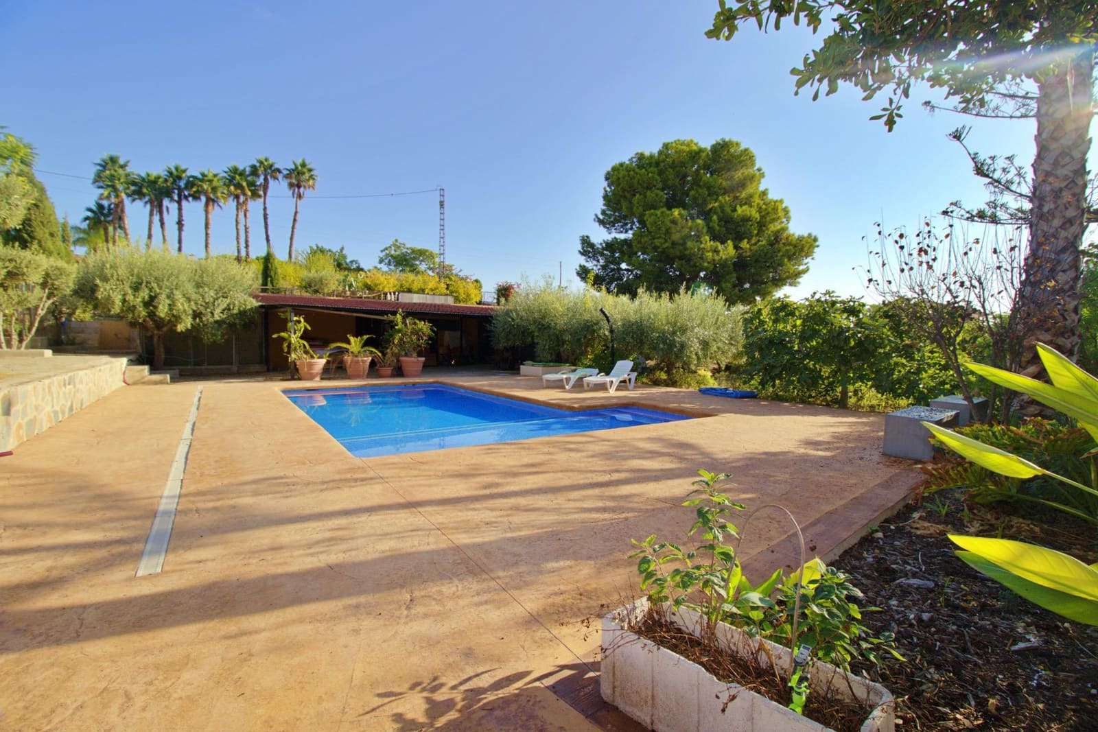 6 sypialnia Willa na sprzedaż w Elche / Elx z basenem garażem - 480 000 € (Ref: 9868596)