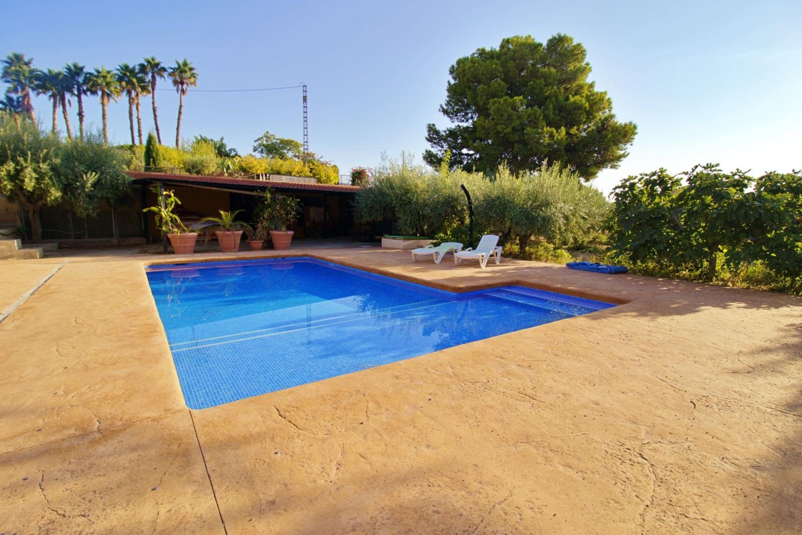 6 sypialnia Willa na sprzedaż w Elche / Elx z basenem garażem - 480 000 € (Ref: 9868596)