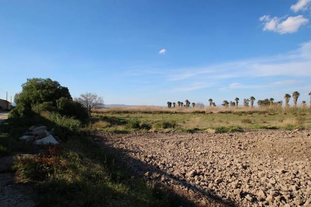 Finca/Herregård til salgs i Elche / Elx - € 49 900 (Ref: 3713391)