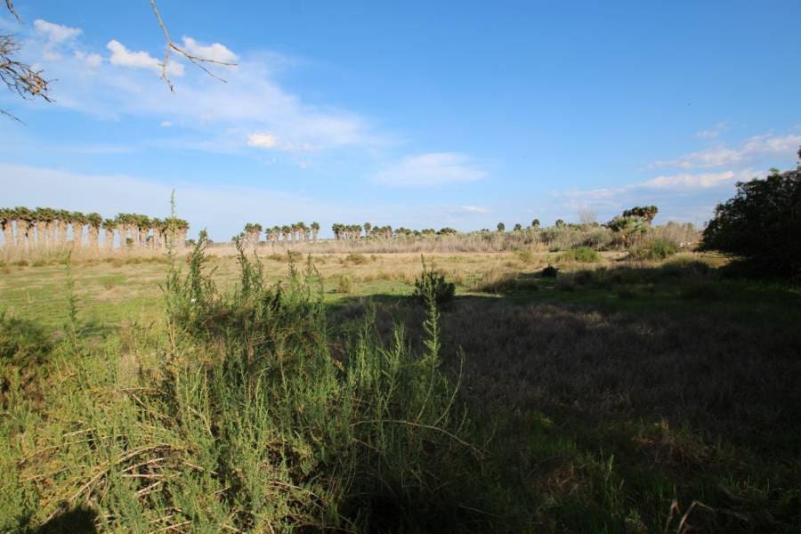 Finca/Herregård til salgs i Elche / Elx - € 49 900 (Ref: 3713391)
