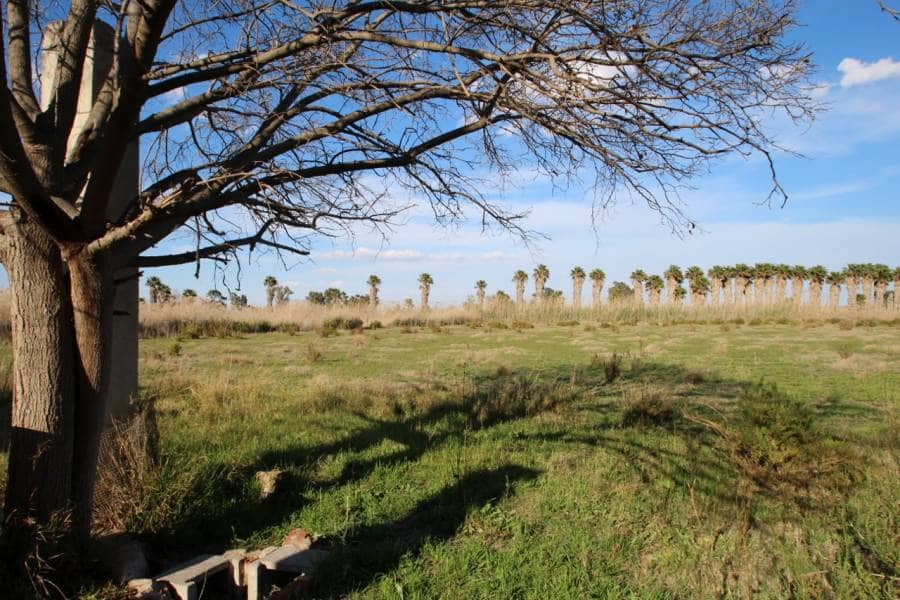 Finca/Herregård til salgs i Elche / Elx - € 49 900 (Ref: 3713391)