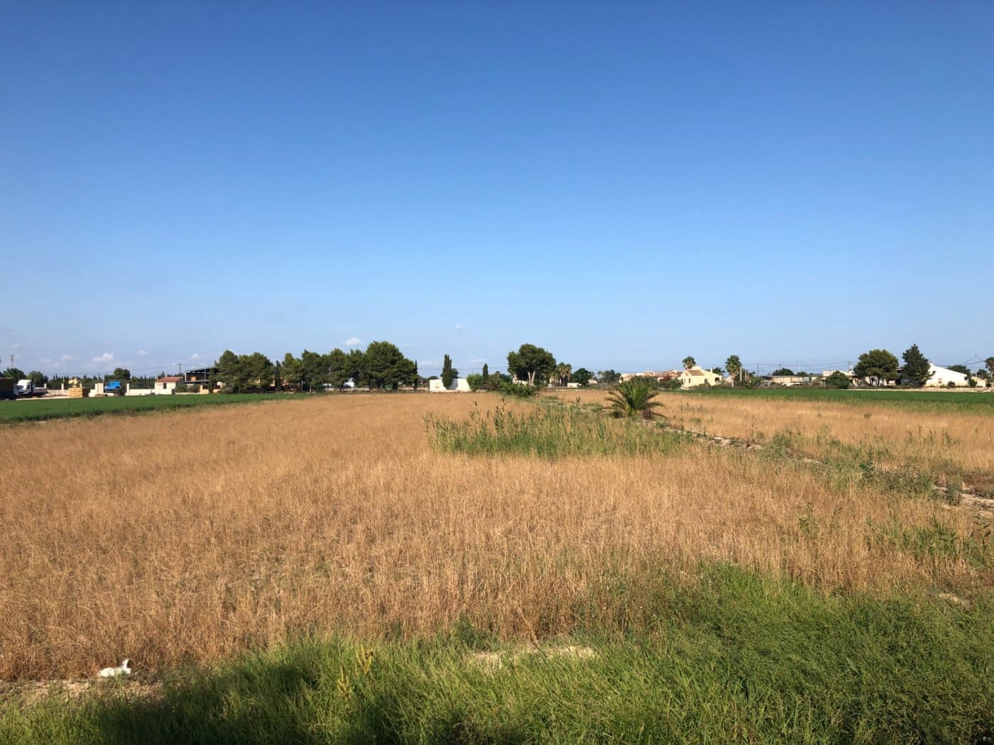 Terrain à Bâtir à vendre à Dolores - 84 900 € (Ref: 6250218)