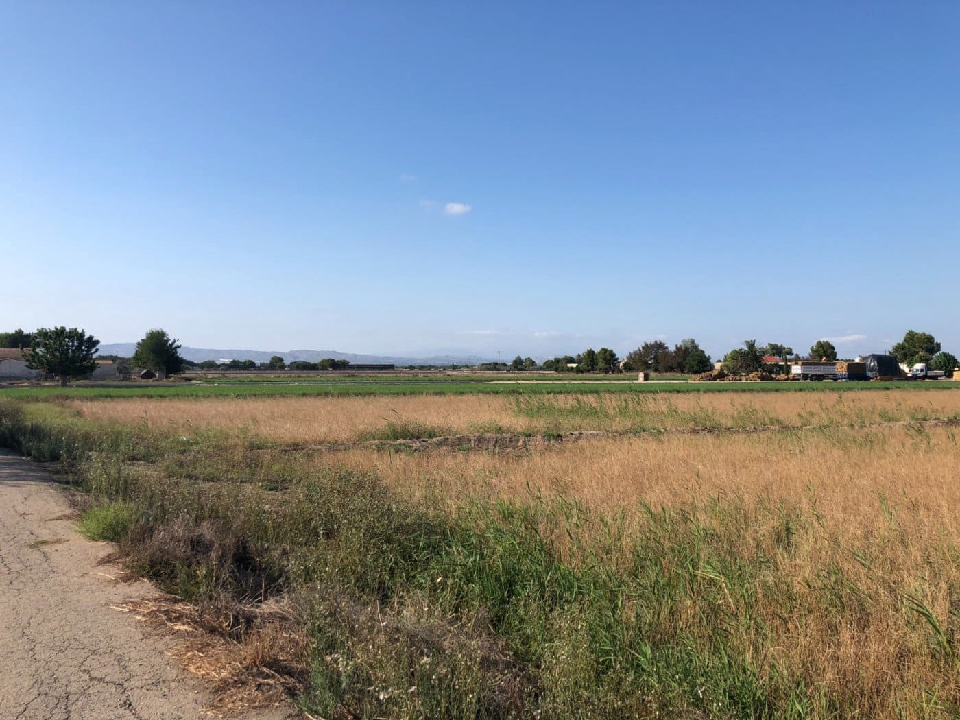 Terrain à Bâtir à vendre à Dolores - 84 900 € (Ref: 6250218)