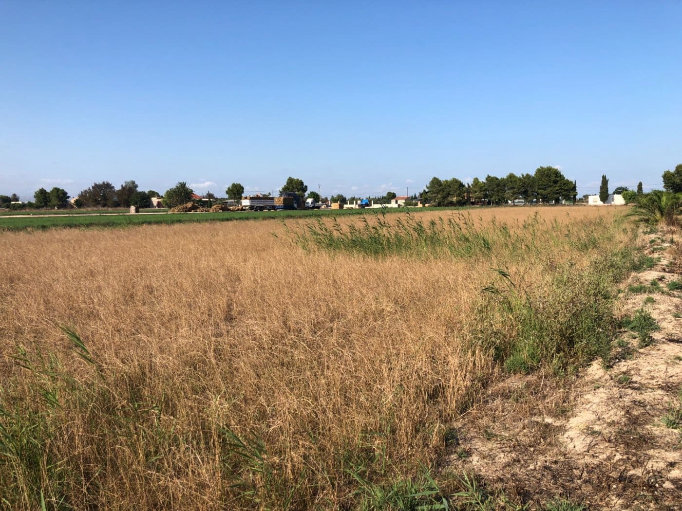 Terrain à Bâtir à vendre à Dolores - 84 900 € (Ref: 6250218)