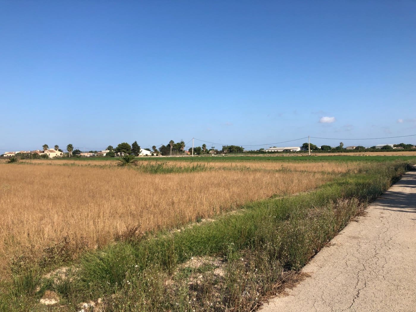 Terrain à Bâtir à vendre à Dolores - 84 900 € (Ref: 6250218)