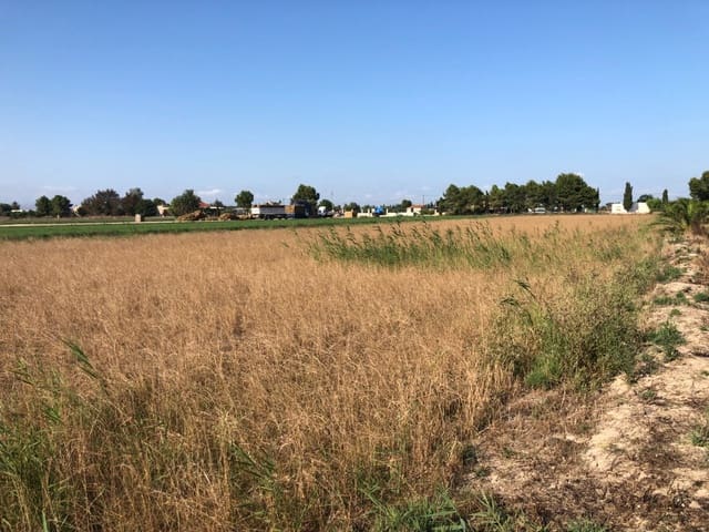 Terrain à Bâtir à vendre à Dolores - 84 900 € (Ref: 6250218)