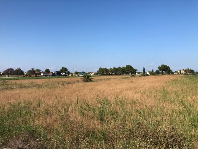 Terrain à Bâtir à vendre à Dolores - 84 900 € (Ref: 6250218)