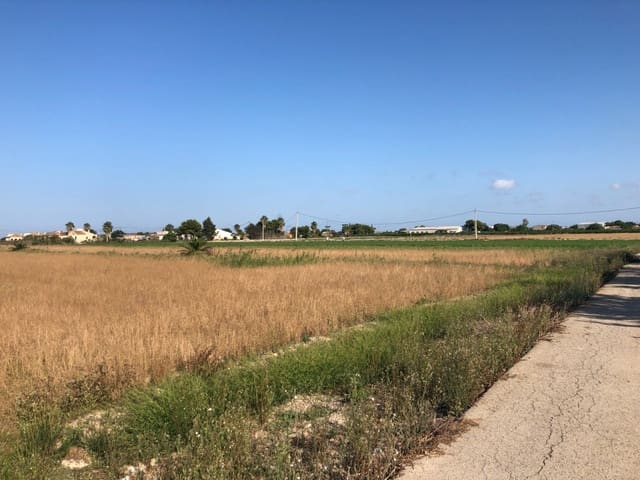 Terrain à Bâtir à vendre à Dolores - 84 900 € (Ref: 6250218)