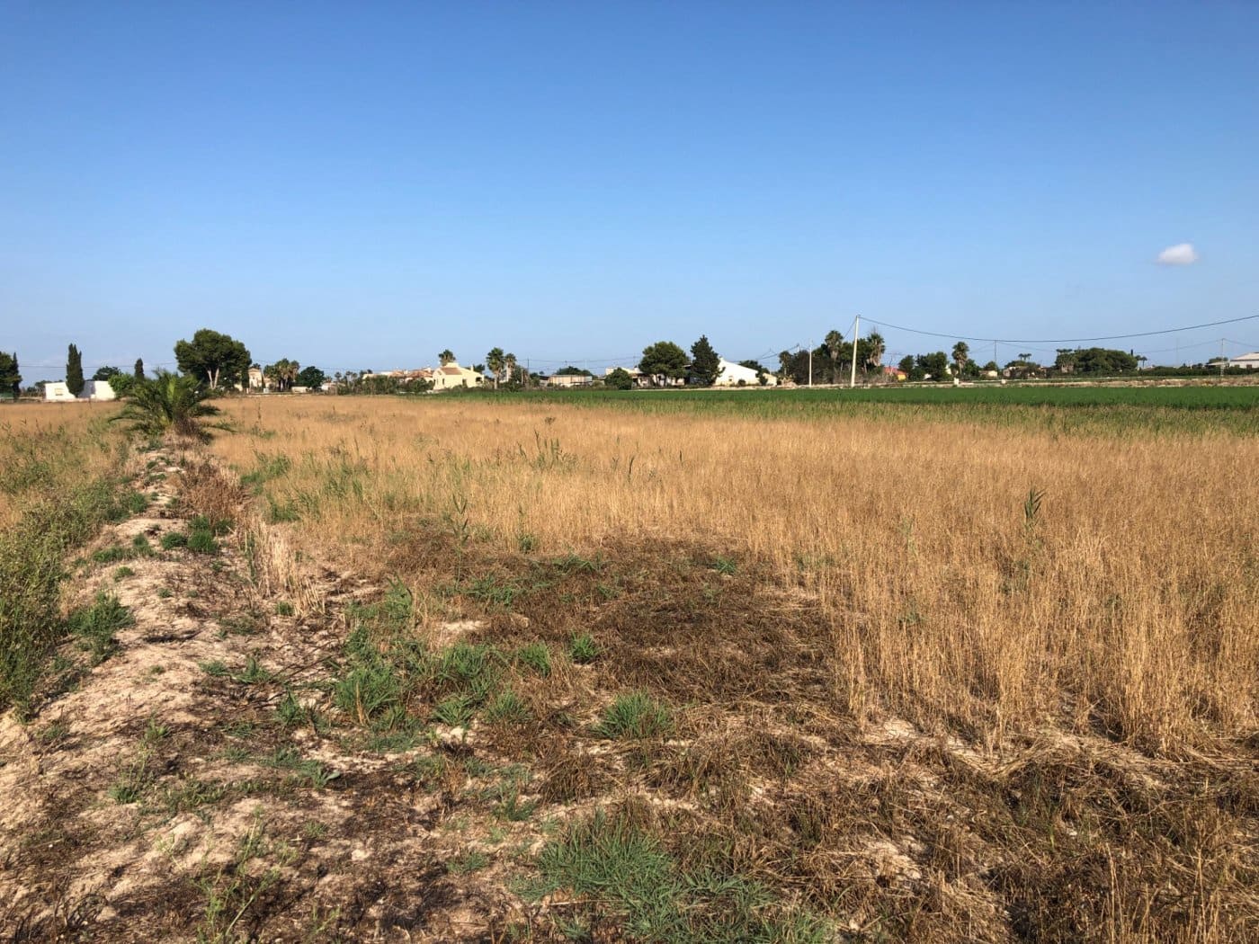 Terrain à Bâtir à vendre à Dolores - 84 900 € (Ref: 6250218)