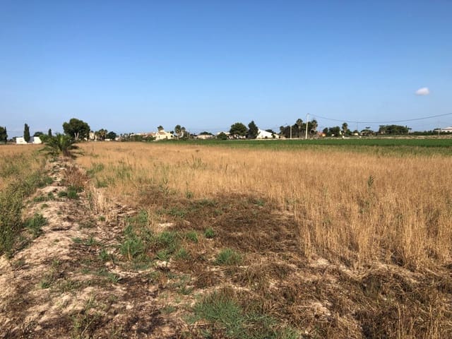 Terrain à Bâtir à vendre à Dolores - 84 900 € (Ref: 6250218)