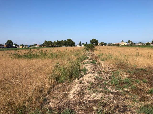 Terrain à Bâtir à vendre à Dolores - 84 900 € (Ref: 6250218)