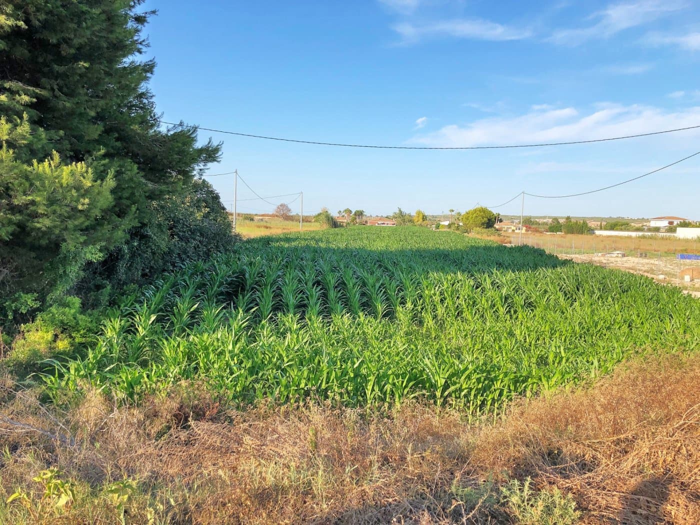 Mark till salu i Dolores - 74 900 € (Ref: 6257120)