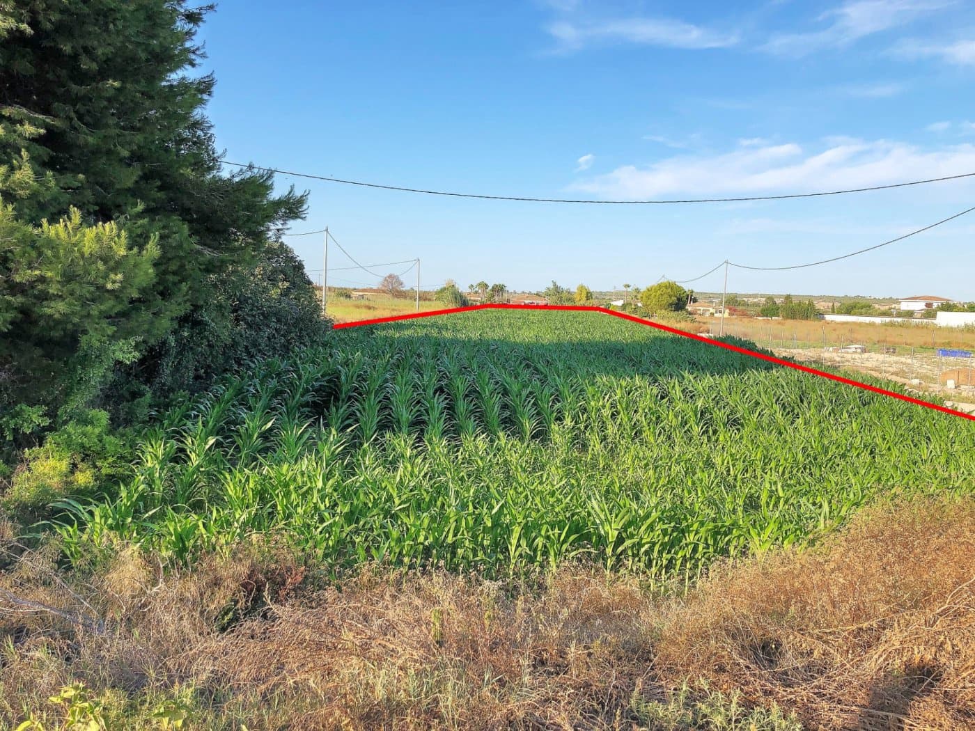 Mark till salu i Dolores - 74 900 € (Ref: 6257120)