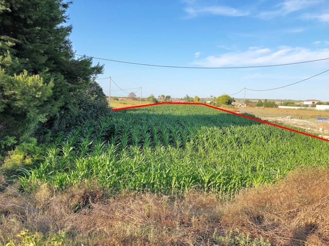 Undeveloped Land for sale in Dolores - € 74,900 (Ref: 6257120)